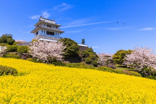 竹崎城跡_031