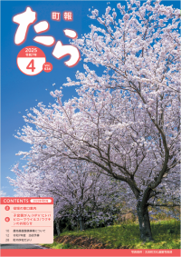 表紙