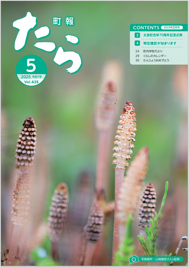 表紙