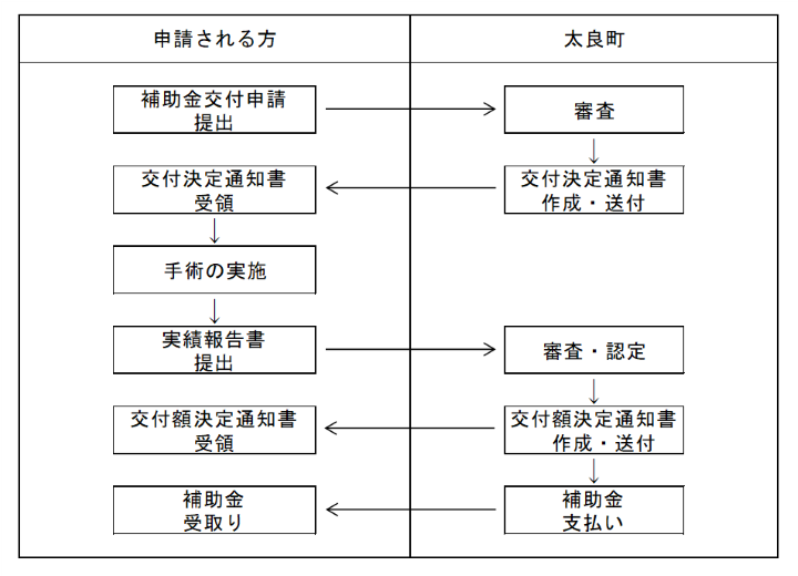 nagare