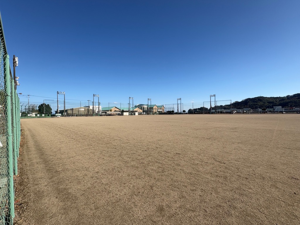 photo_20260108-030459